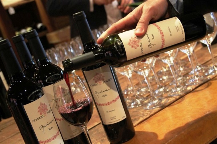 Tasting of Achaval Ferrer Wine